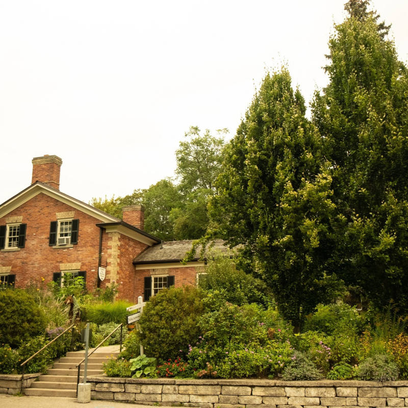 MyCabbageTown - Riverdale Farm Event in Cabbagetown ON